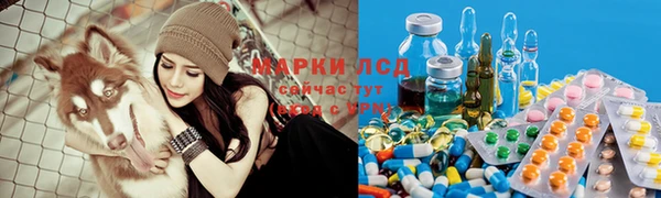 гидра Ачинск