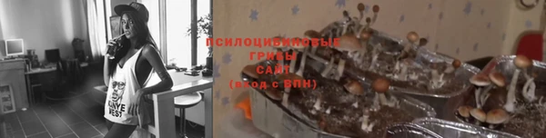 apvp Новокубанск
