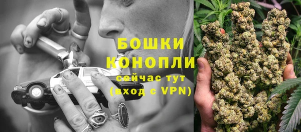 гидра Ачинск