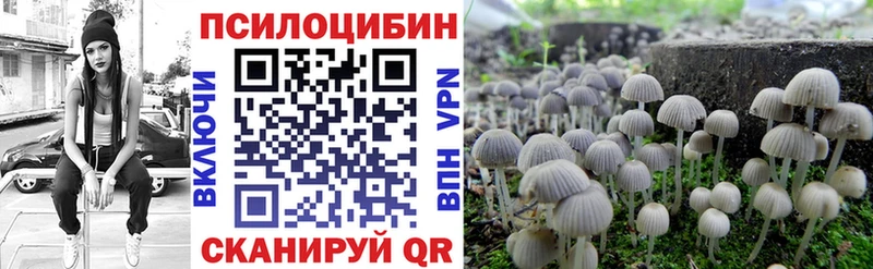 цены   дарк нет как зайти  Галлюциногенные грибы мицелий  Туран 